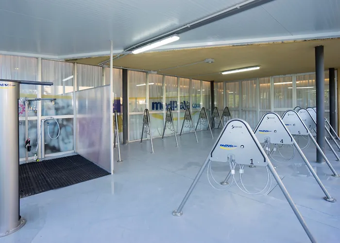 Medplaya CalypsoHotel Todo Incluido